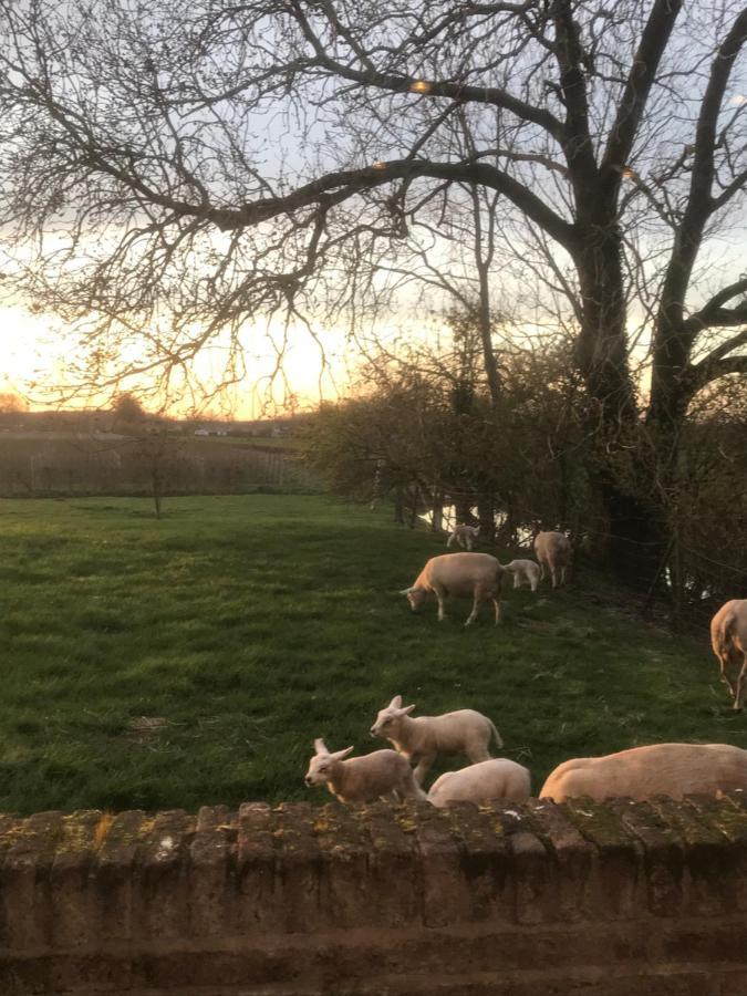 Kasteel Landgoed Crayenstein B&B Tricht 外观 照片