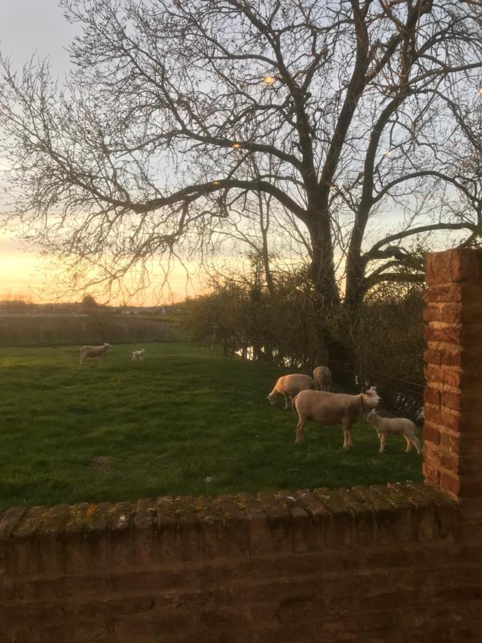 Kasteel Landgoed Crayenstein B&B Tricht 外观 照片