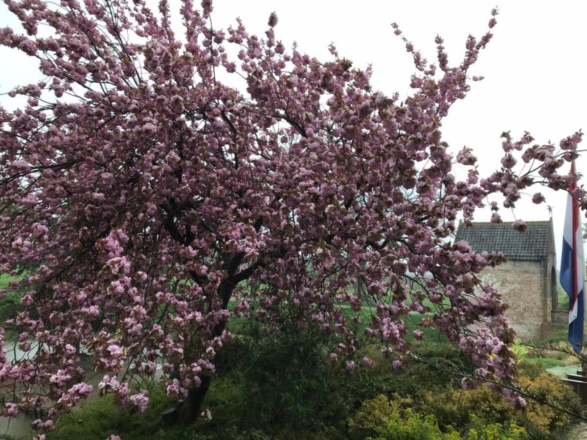 Kasteel Landgoed Crayenstein B&B Tricht 外观 照片