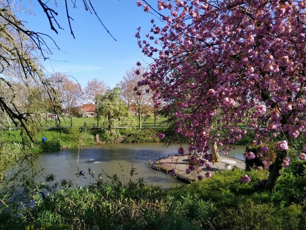 Kasteel Landgoed Crayenstein B&B Tricht 外观 照片